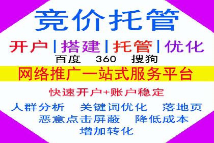 竞价推广公司的策略布局：某行业领导品牌的成功案例